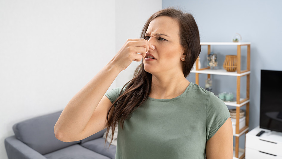 Six Common Air Conditioner Smells Explained and How to Fix the Problem